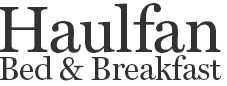 Polo Logo